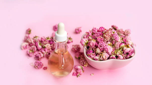 istock Rose flowers  essential oil 1997961375