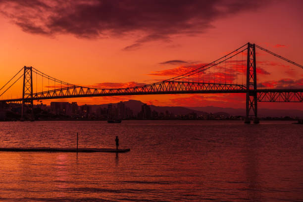 istock Hercilio luz cable bridge and bright warm sunset in Florianopolis 1997961910