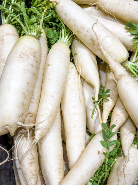 istock Stack of white radish in a supermarket 1997963543