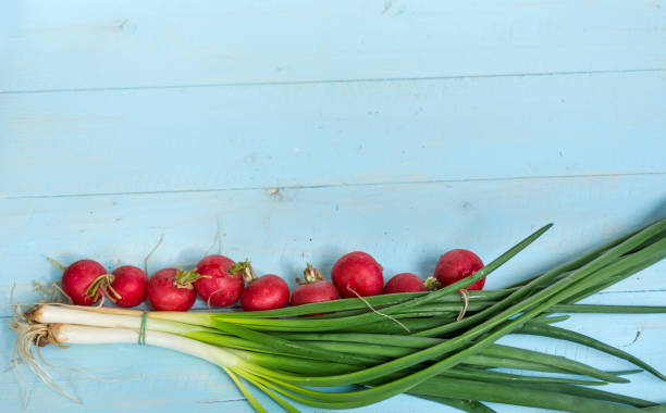 Red Radish , Green Salad and fresh onion