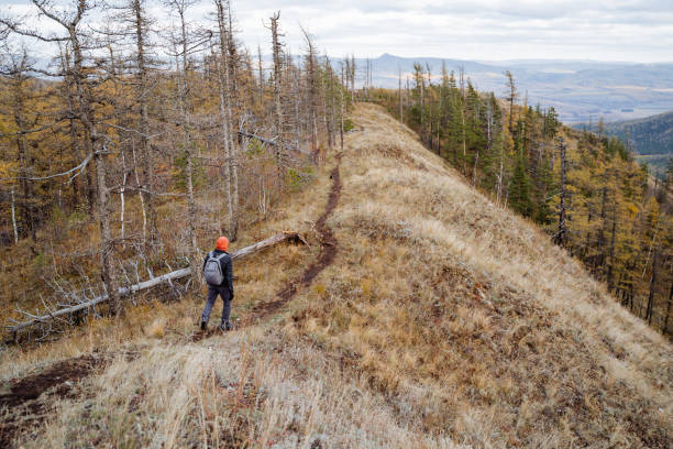 A man went for a walk in the forest, a guy with a backpack walks along a mountain path, a vacation in nature, an autumn hike in the forest, trekking in the mountains. High quality photo