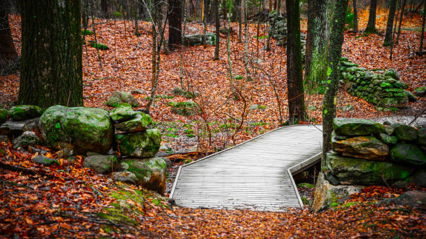 new england winter forest landscape in spring rain with a curved wooden footbridge, lichen-covered stone walls, and bare oak and maple trees on the tranquil footpath in a small town in america - town rural scene road new england imagens e fotografias de stock