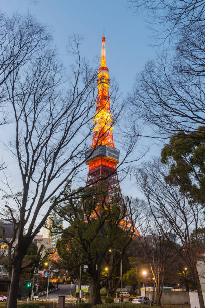 The iconic spire of the Tokyo Tower framed by trees in the heart of Japan’s vibrant capital city.