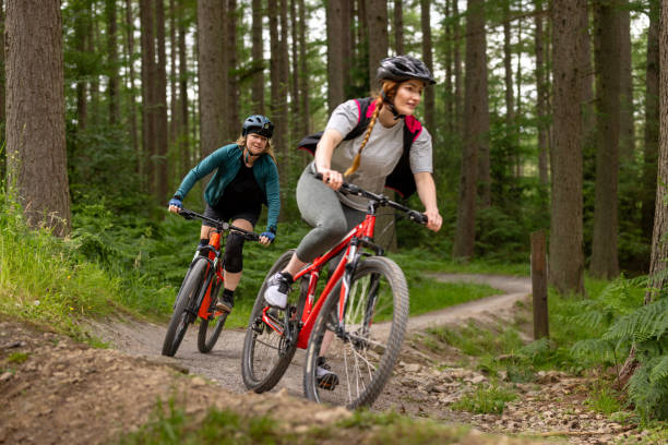istock Exploring Woodland on Mountain Bikes 1998042252