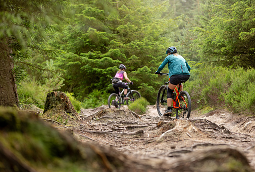 Full rear view shot of two women riding mountain bikes along a bike trail surrounded by large woodland trees. The forest is located in Hamsterley Forest in County Durham.