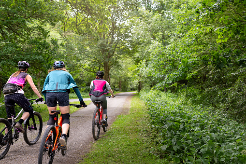 Full rear view shot of three women riding mountain bikes along a bike trail beginning their journey all wearing active sportswear. The forest is located in Hamsterley Forest in County Durham.