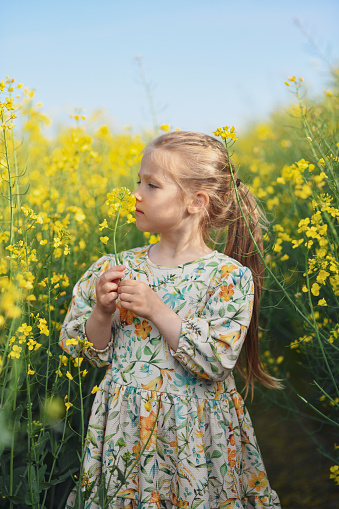 Girl in a dress in a field of rapeseed smelling flowers