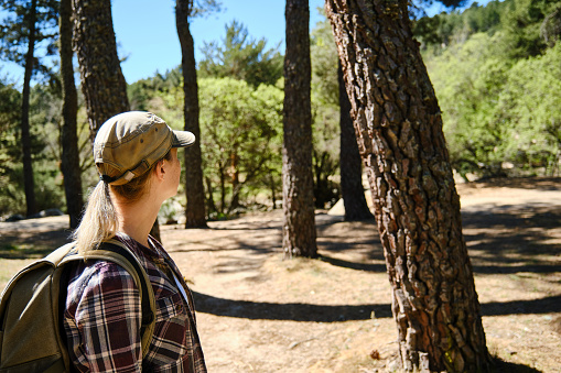 Rear view of a woman with backpack and cap in the forest, looking at the trees.