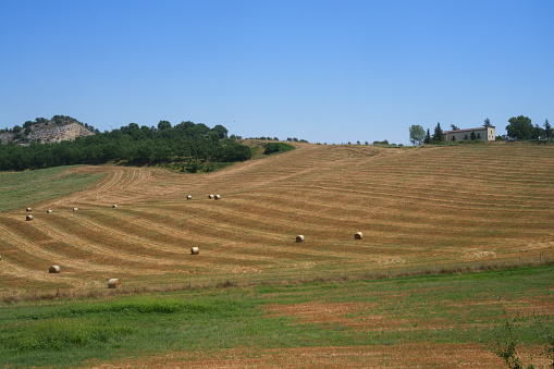 Country landscape near Gambatesa and Jelsi, Campobasso province, Molise, Italy, at summer