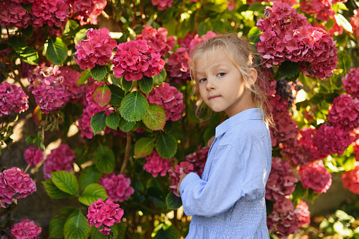 Portrait of a little girl smelling hydrangea flowers