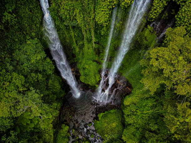 istock Two waterfalls at Bali, Indonesia 1998106843