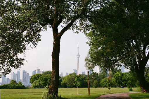 Toronto Island park views
