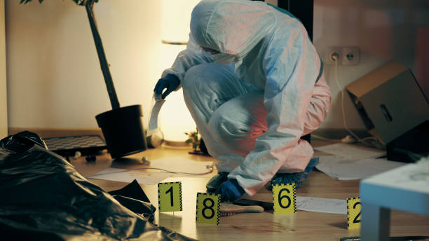 istock An attentive worker from the forensic laboratory is collecting evidence while examining the crime scene 1998234079