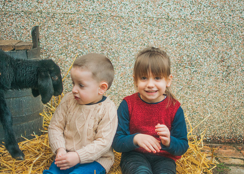 children with lamb outside