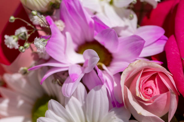 istock a beautiful bouquet combined with different flowers 1998281353