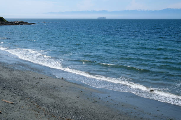 Rize Black Sea Turkey sea. High quality photo