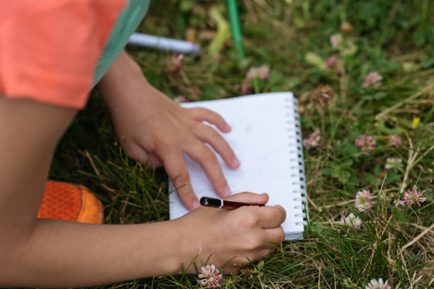 istock Child drawing with pencil on sketchpad in grassy field 1998297647