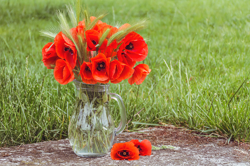 Vase holding a bouquet of poppy flowers