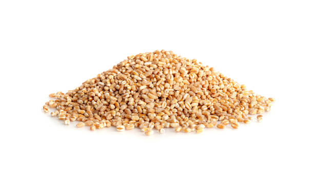istock Wheat Grains, Barley Pile, Dry Cereal Seeds, Wheat Grains Heap on White 1998377132