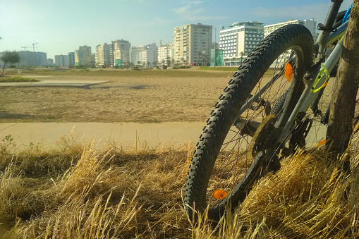 A slightly blurry photo of a bicycle leaning on a tree in a park with sun-bleached grass against a background of skyscrapers. Theme of going out of town, walking, traveling.