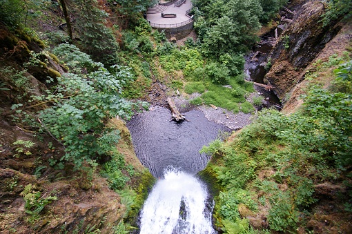 This image captures an aerial view of a waterfall cascading into a round pool of water. The pool appears to be surrounded by lush green vegetation, including trees and shrubs. A fallen tree trunk can be seen lying across the width of the pool. On the top left side, there is a curved structure that could be part of a building or a bridge nestled into the landscape. The terrain appears rugged and natural, and the water from the waterfall generates white foam as it hits the pool below.