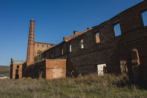 This is an image of the ruins of an old factory building. The building is made of red bricks and has a tall chimney. The factory is surrounded by overgrown vegetation. The sky is clear and blue.