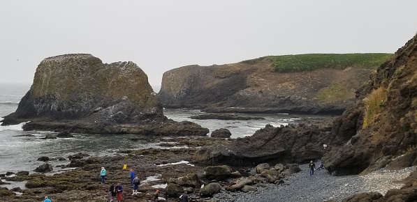 The picture shows a rocky coastal scene. In the foreground, there are tide pools with jagged rocks and various people exploring the area. There appear to be several small groups of visitors scattered across the scene, some near the water's edge and others on the rocky outcroppings. In the background, there are two large rock formations protruding from the ocean, with their top parts covered in green vegetation, suggesting the presence of grass or similar flora. The sky is overcast, and the overall atmosphere of the picture is one of a cool, cloudy day at the coast. The color palette is dominated by shades of gray, green, and blue.