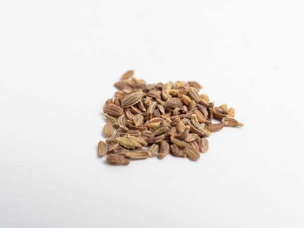 istock Carrot seeds on a white background. 1998524612