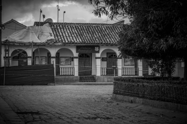 old colonial house in black and white in a park with trees