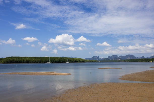 A wide-angle view captures a beach during low tide