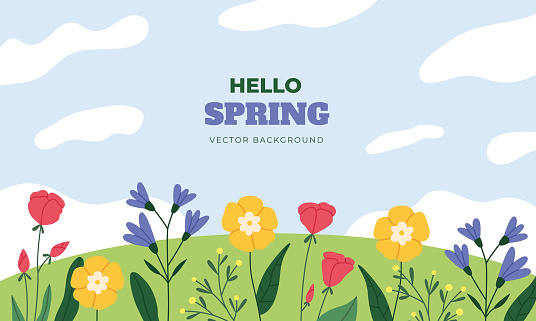 Hill covered with flowers and leaves against a azure sky with fluffy clouds, creating a picturesque natural landscape filled with vibrant vegetation. Vector banner.
