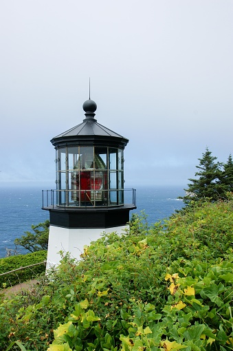 This picture displays a lighthouse standing on what appears to be a cliff or high coastline. The lighthouse has a classic design with white walls and a black lantern room at the top, enclosing what seems to be a red light fixture. Around the lantern room, there's a black railing, presumably for a balcony or walkway for maintenance access. The structure stands against a backdrop of a hazy blue sky with some light cloud cover above and the ocean spreading out on the horizon. Vegetation, including green shrubs and foliage with some yellowish-green plants, can be seen in the foreground, suggesting the lighthouse is set in a natural, verdant environment. The overall atmosphere of the image is serene and maritime.