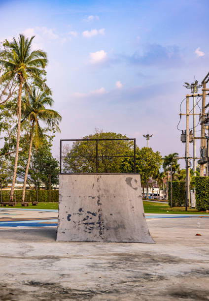 istock Concrete Skatepark Feature with Palm Trees in Background Early Morning 1998631618