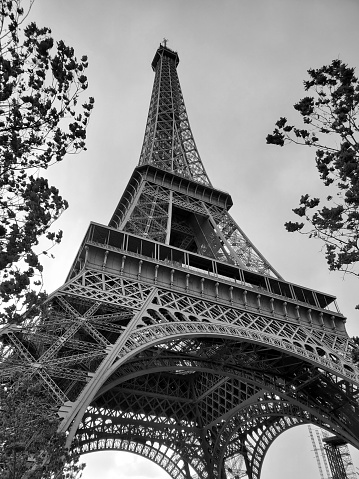 This picture depicts the Eiffel Tower, an iconic iron lattice tower located in Paris, France. The photograph is taken from a low angle looking upwards, capturing the grandeur and intricate metal framework of the tower. The perspective emphasizes the tower's vast scale and tapering form as it stretches towards the sky. The image is in black and white, which highlights the contrast and the geometric patterns created by the metalwork. Surrounding the tower are the silhouettes of leafy trees, framing the structure and adding a natural element to the composition. The sky in the background appears cloudy, which may contribute to the photograph's moody ambiance.