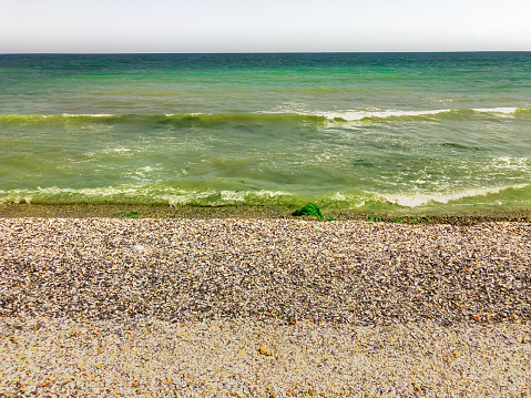 Sea green aquamarine waves line sunny seashell beach. wave ocean foam. Natural background sky. Template space pattern wallpaper mockup. Summer background Black sea waves marine shells pebble beach