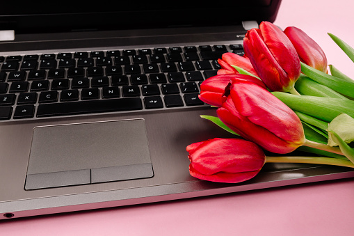 Bouquet of red tulips on pink paper background with a laptop on work place. Template for advertising or visualization of blog with copy space for text. Business card. Holiday certificate. Banner.