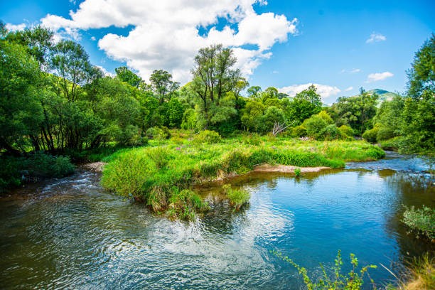 The small Grabia River in central Poland.