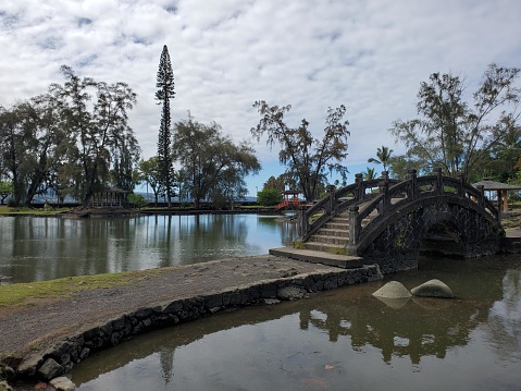 This picture is of a serene park setting. In the foreground, there is a calm body of water, possibly a lake or a large pond, that reflects the cloudy sky above. On the right side, a picturesque footbridge with an arch shape spans over a narrow part of the water. It has a traditional design with railings on either side which seem to be made of a dark material, likely wood or perhaps metal.  To the left of the bridge and further into the distance, a building with a pagoda-like architecture rests on the water's edge, suggesting an Asian influence in the park's design. A tall, slender tree stands prominently in the center of the view, extending skyward. The tree's height is accentuated by the shorter tropical trees surrounding it which have thin trunks and branches that droop gently toward the water.  The sky is filled with white and gray clouds, indicating overcast weather. The overall ambiance of the picture is peaceful and calm, with rich natural colors and a sense of tranquility.