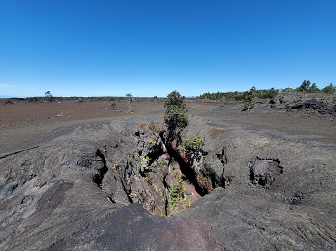 This image depicts a rugged volcanic landscape under a bright blue sky. In the foreground, there is a gaping crack in the dark, hardened lava rock, which seems to have been created by past volcanic activity. Mosses and small plants cling to the rock, highlighting the force of nature in areas where vegetation begins to reclaim the barren terrain. In the background, the flat expanse of the lava field extends towards a sparse forest on the horizon, where isolated trees stand resilient amidst the harsh environment. The overall scene exudes a sense of desolation, yet also resilience and the slow return of life to an area marked by volcanic destruction.