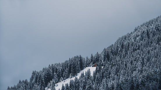 A single wooden hut in the Austrian Alps surrounded by a snow capped coniferous forest and a cloudy sky, dark mood, monochrome blue, copy space, negative space, 16:9