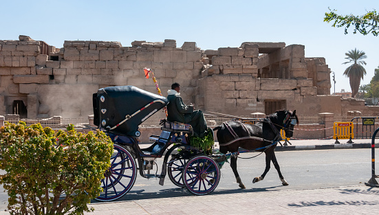 Egypt, Karnak - March 01, 2019:  a cart with a horse for walking with tourists against the backdrop of the temple complex in Karnak, Egypt