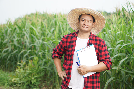 Asian man farmer is at garden, wears hat, red plaid shirt, put hand on hip and hold paper clipboard. Concept. Agriculture occupation, inspect,survey and research.