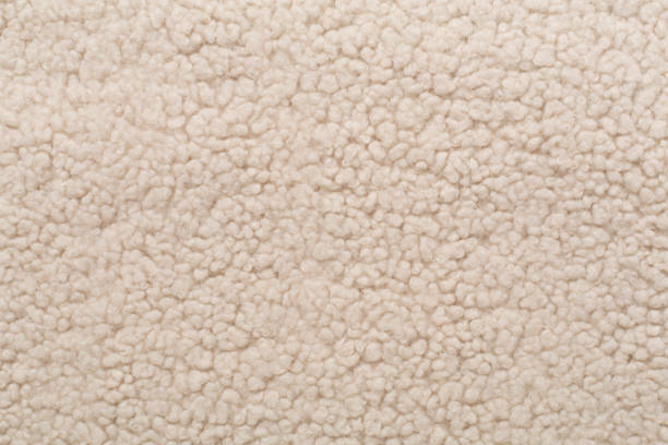 Beige cuddle teddy bear fabric as background, top view