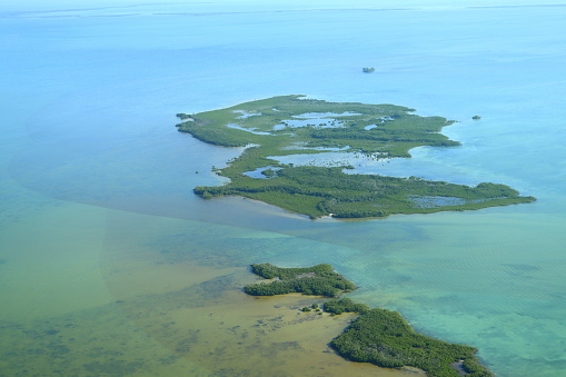 View of the Mangroves and Reefs of the Drowned Cayes from above