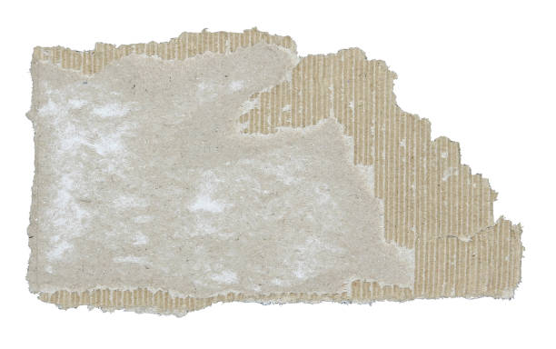 istock Torn pieces of corrugated paper isolated on white background 1999042796