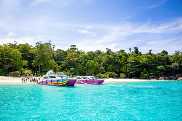 Cruise yachts and boats near the Similan Islands, Thailand stock photo