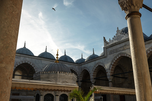 The intricate architecture of Yeni Cami Mosque in Istanbul, captured under a clear sky with a bird soaring above.