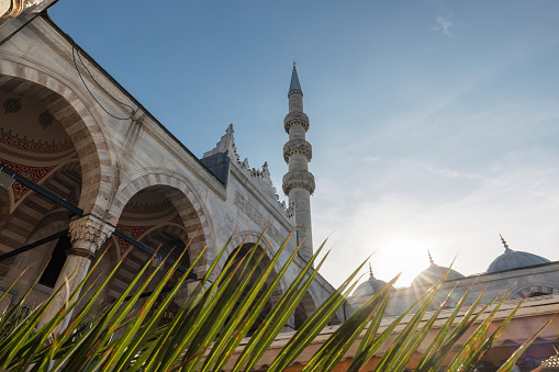 Yeni Cami Mosque in Istanbul basks in the sunlight, showcasing its grand architecture amid clear skies.