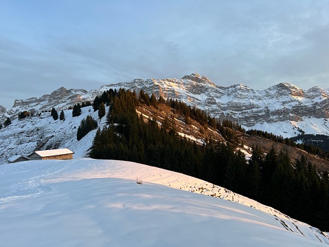 Snow-capped alpine peak Säntis (Saentis or Santis, 2502 m) in Alpstein mountain range and in Appenzell Alps massif, Alt St. Johann - Canton of St. Gallen, Switzerland (Schweiz)