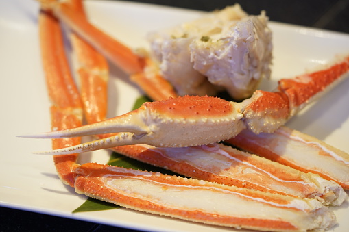 Snow Crab in Tsukiji Market Japan Tuna King Restaurant